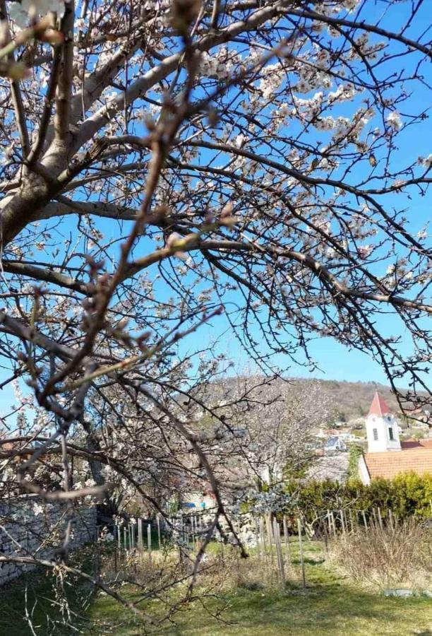 Aracsi Vendeghaz 호텔 블로톤퓌레드 외부 사진